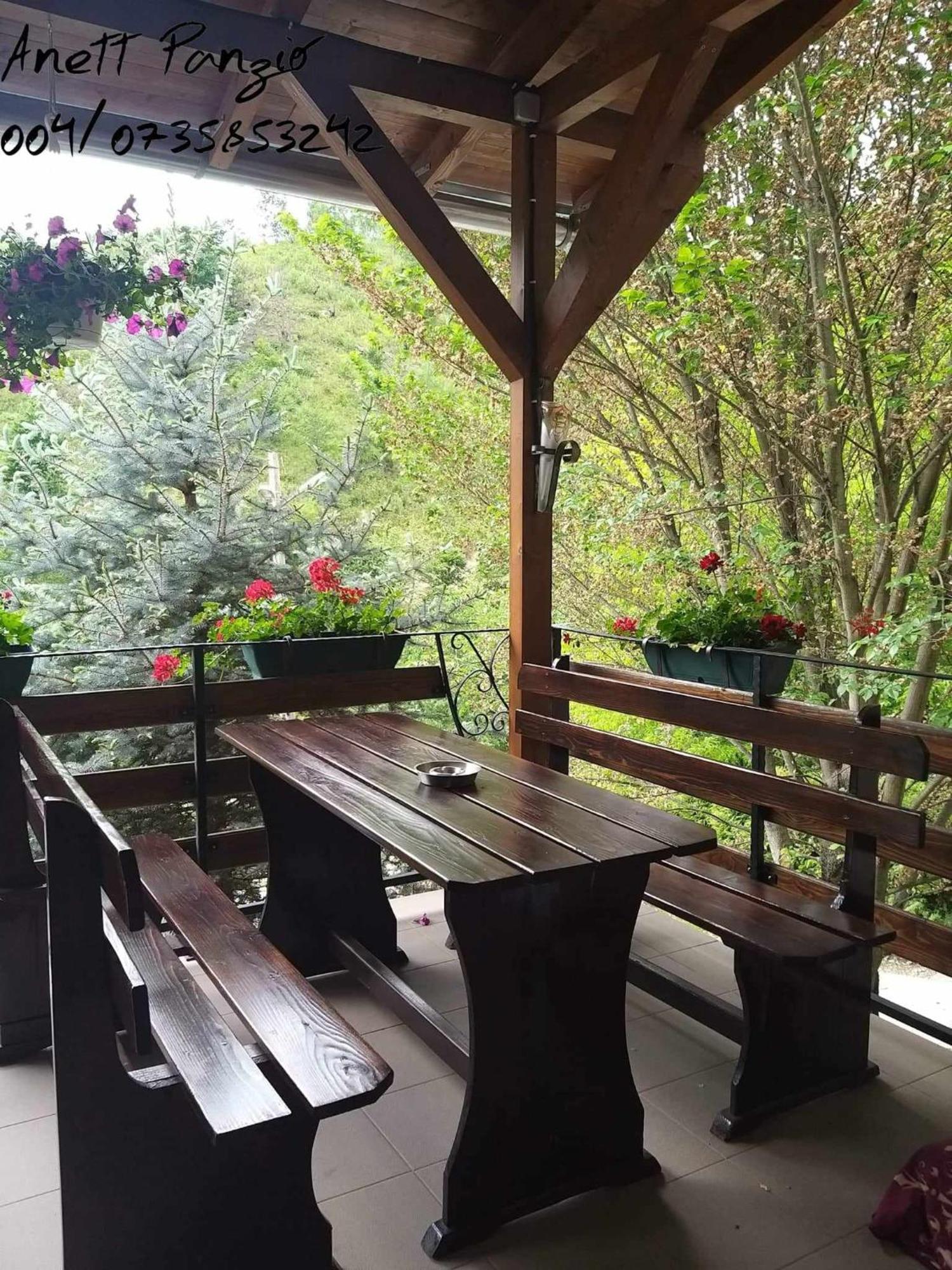 Pietroasa Panzio Anett住宿加早餐旅馆 外观 照片
